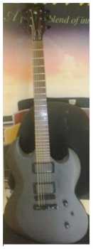 Fotografía: Proponga a vender Guitarra VIG(ESP) - VIG POISON