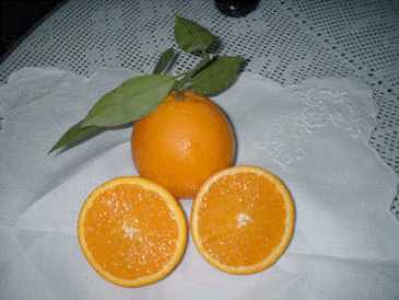 Fotografía: Proponga a vender Frutas y hortalizas Naranja