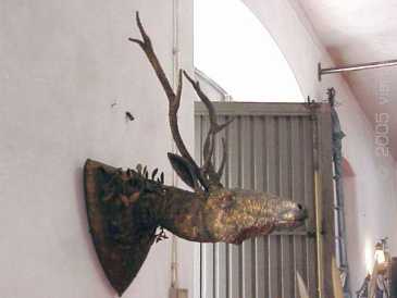 Fotografía: Proponga a vender Escultura CABECA DE VENADO DE HIERRO UNICA - Contemporáneo