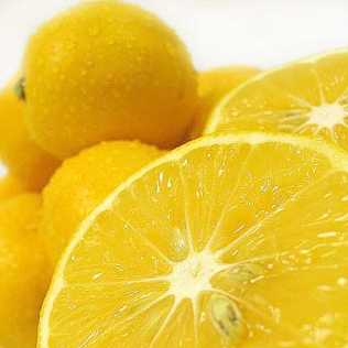Fotografía: Proponga a vender Fruta y hortaliza Limón