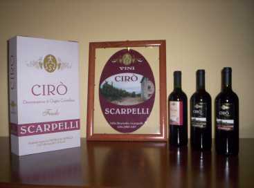 Fotografía: Proponga a vender Vinos Italia - Calabria