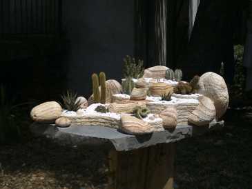 Fotografía: Proponga a vender Conchas, fósile y piedra JARDIN EXOTIQUE ARIDE MEXICAIN DE SALON.PIECE UNIQ