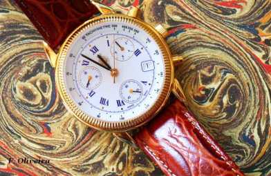 Fotografía: Proponga a vender Reloj pulsera mecánica Hombre - DELMA - DELMA: ROYAL GEOGRAPHICAL SOCIETY 1980