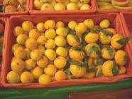 Fotografía: Proponga a vender Frutas y hortalizas Mandarina