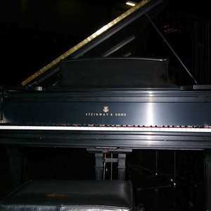 Fotografía: Proponga a vender Piano de cola STEINWAY - DE CONCERT MODELE D
