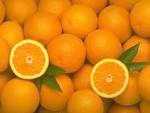 Fotografía: Proponga a vender Frutas y hortalizas Naranja