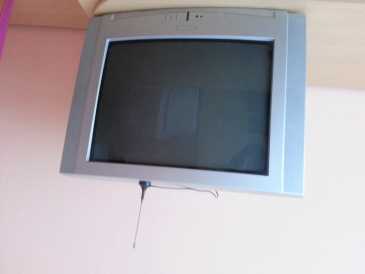 Fotografía: Proponga a vender TV pantalla plana ORION - TV