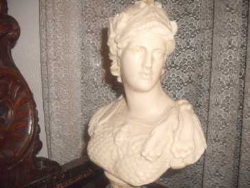 Fotografía: Proponga a vender Busto Mármol - RAPPRESENTAZIONE UMANA - Siglo XVI