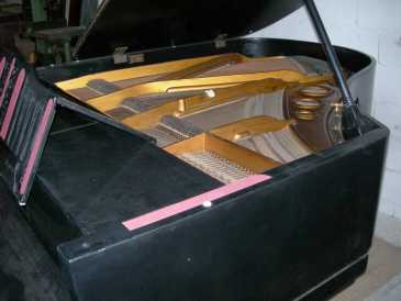 Fotografía: Proponga a vender Piano de media cola JULIUS BLUTHNER - PIANO COLA