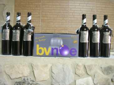 Fotografía: Proponga a vender Vinos Tinto - Tempranillo - España - Rioja