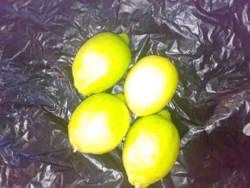 Fotografía: Proponga a vender Frutas y hortalizas Limón