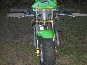 Fotografía: Proponga a vender Moto 50 cc - POCKETBIKE - POCKETBIKE