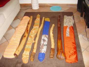 Fotografía: Proponga a vender 4 Didgeridoos (australiano)s DIDJSHOP
