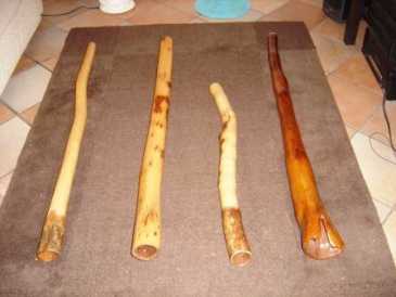 Fotografía: Proponga a vender 4 Didgeridoos (australiano)s DIDJSHOP